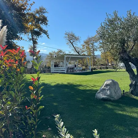 Garden *