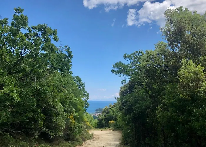 Garden Ολυμπιάδα