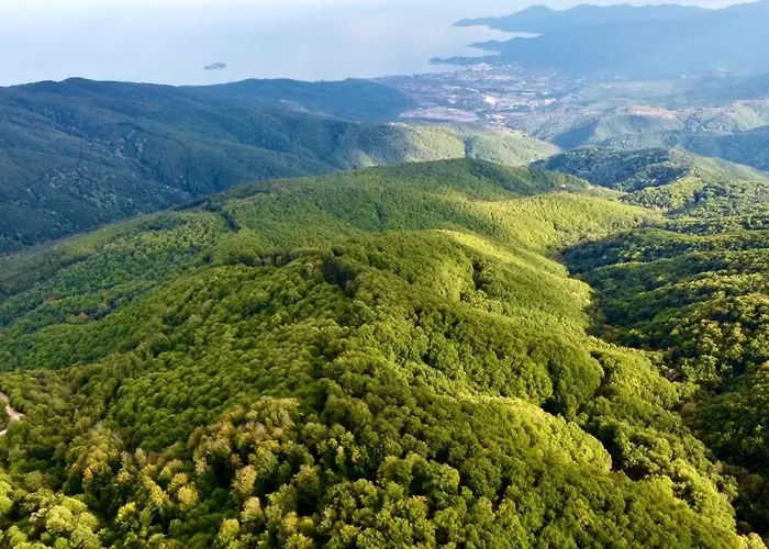 Σπίτι διακοπών Garden