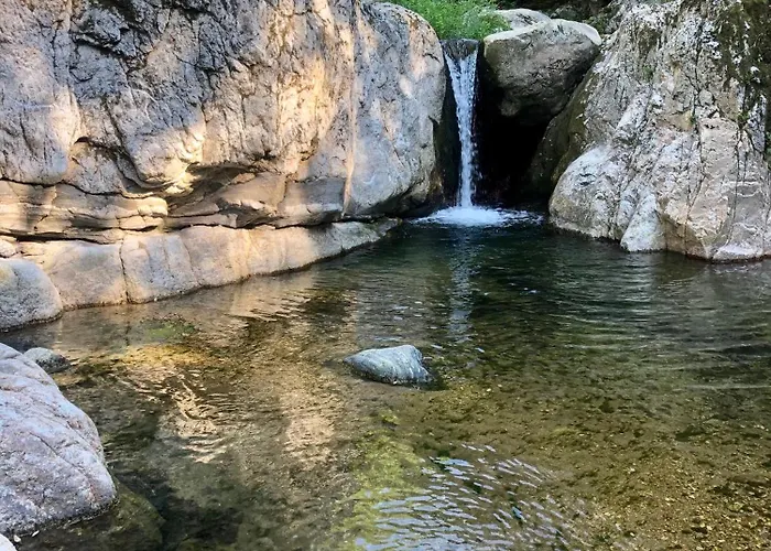 Garden Ολυμπιάδα