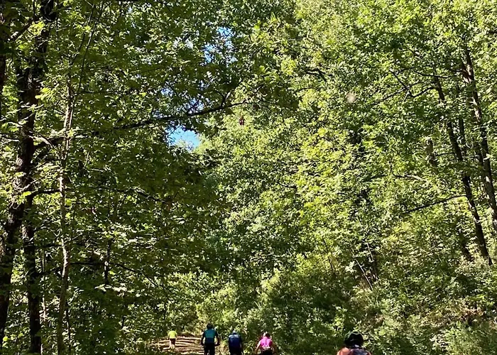 Garden Ολυμπιάδα