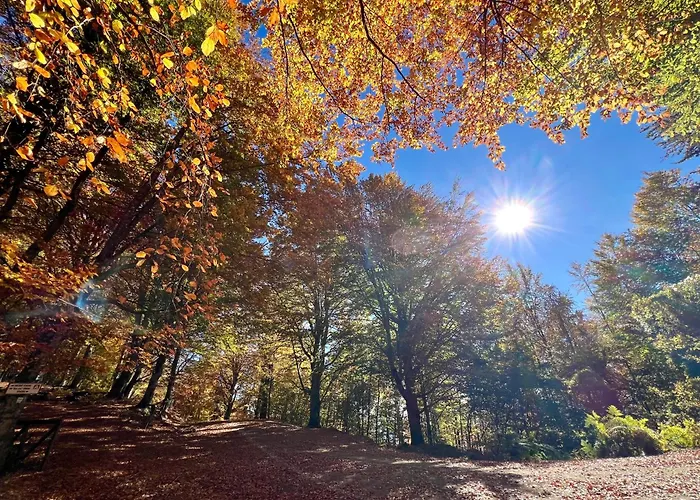 Σπίτι διακοπών Garden Ολυμπιάδα