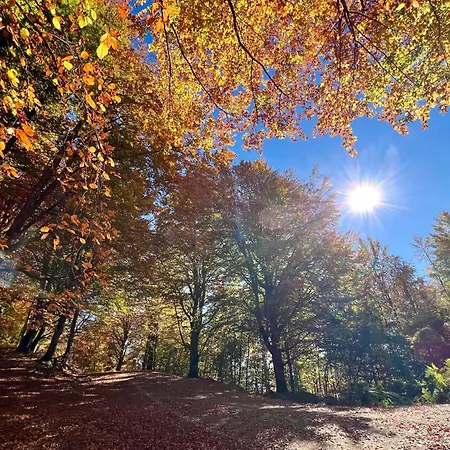 Nyaraló Garden Olímbiáda